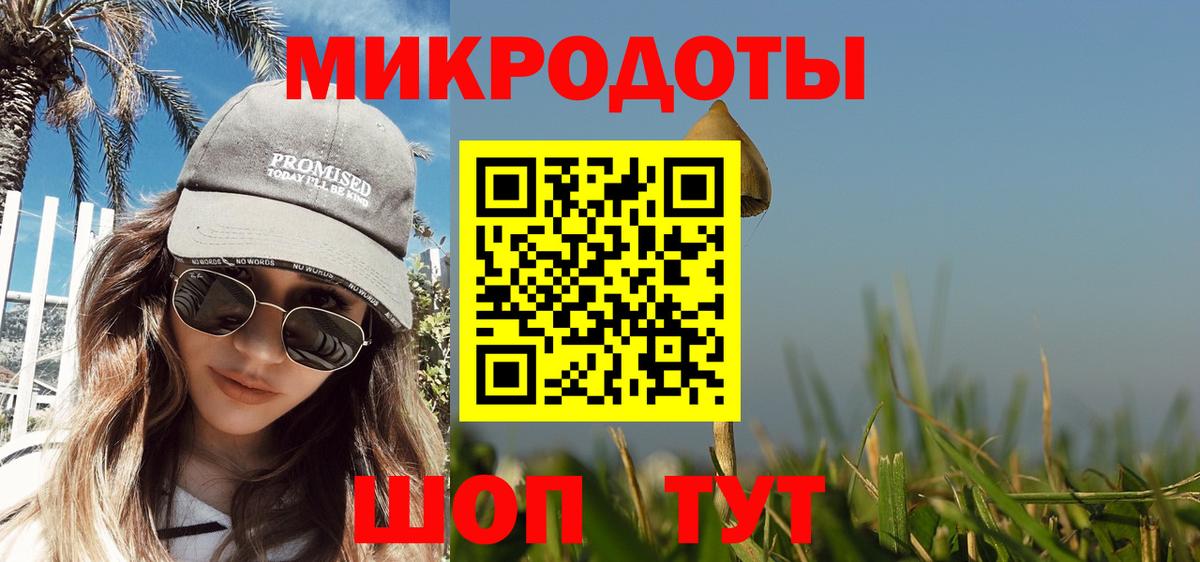 Псилоцибиновые грибы Psilocybe Южно-Сахалинск