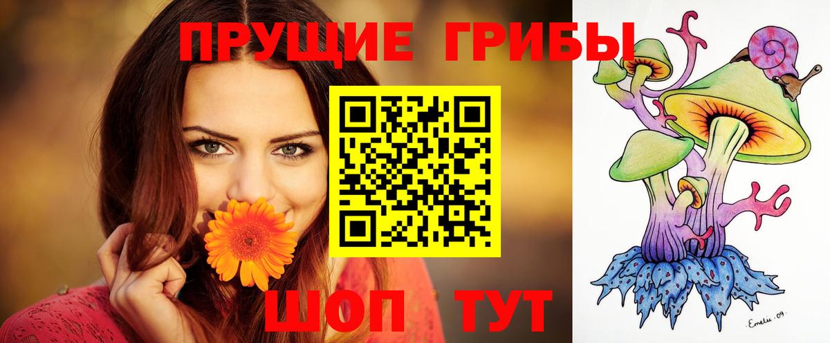Южно-Сахалинск  Галлюциногенные грибы MAGIC MUSHROOMS  Вход с VPN 